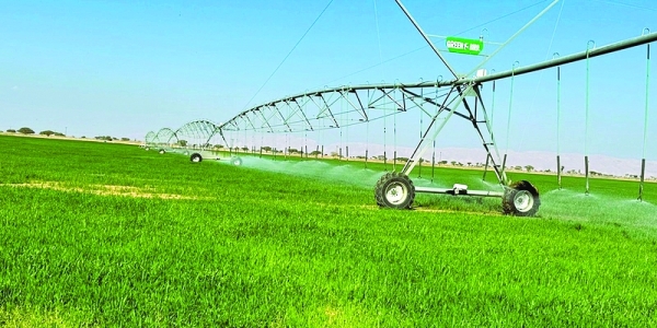 Al Batinah South unveils agri-food investment drive